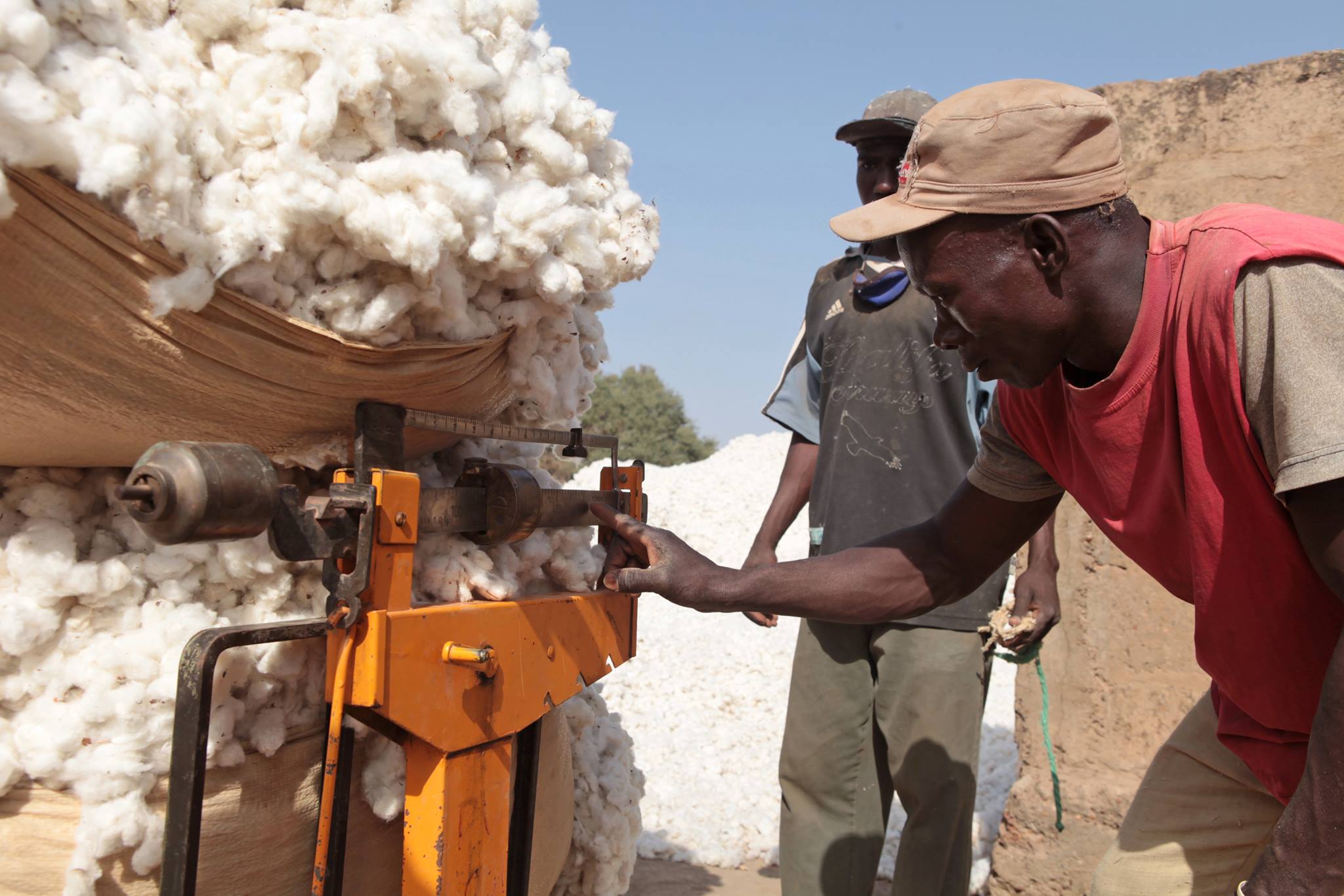 Mali CMDT : 4,19 milliards FCFA évaporés selon le Bureau du vérificateur général.